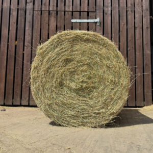 Meadow Hay - 4ft Round Bale
