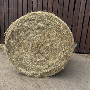 Timothy Rye Mix Hay - 4ft Round Bale